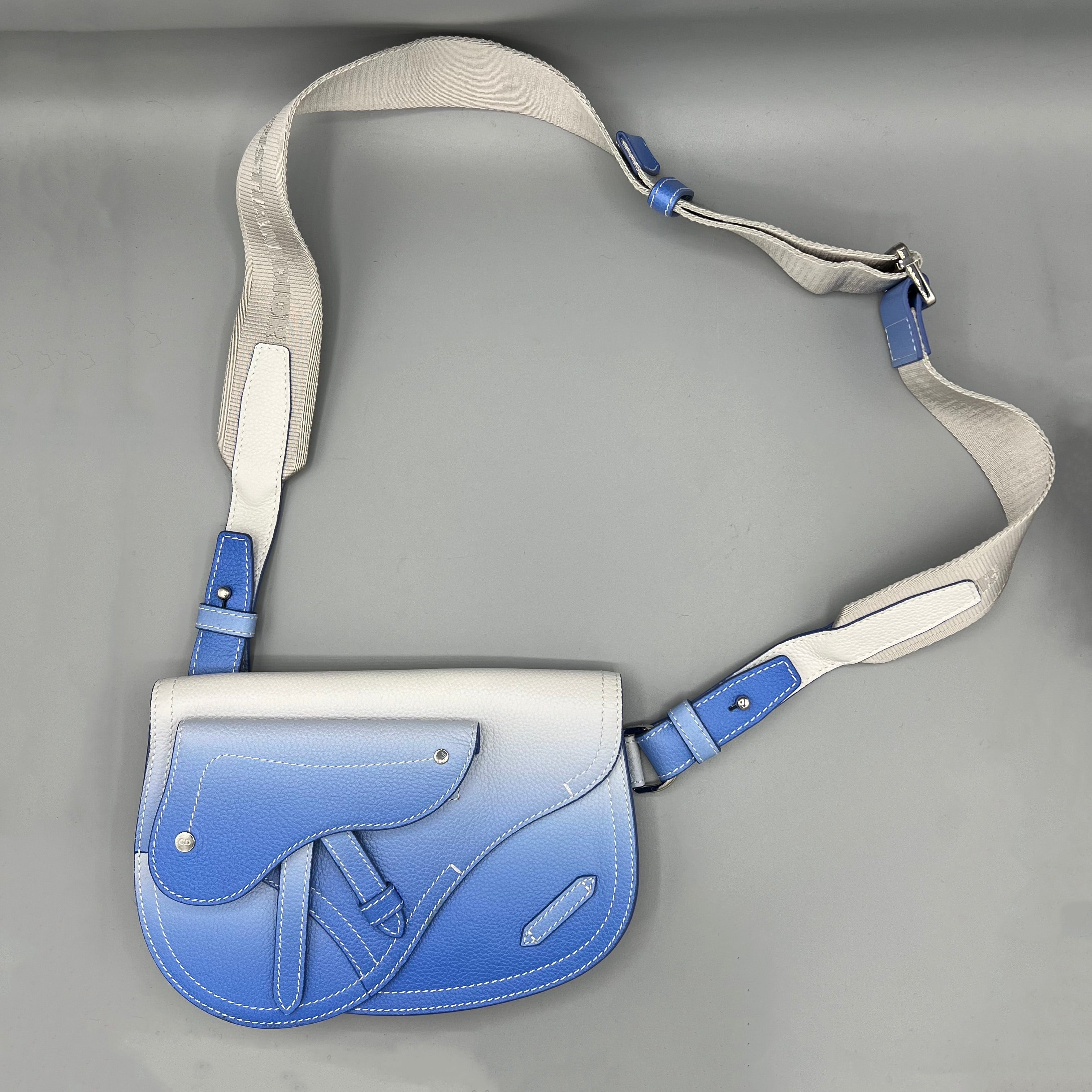 Saddle Dior