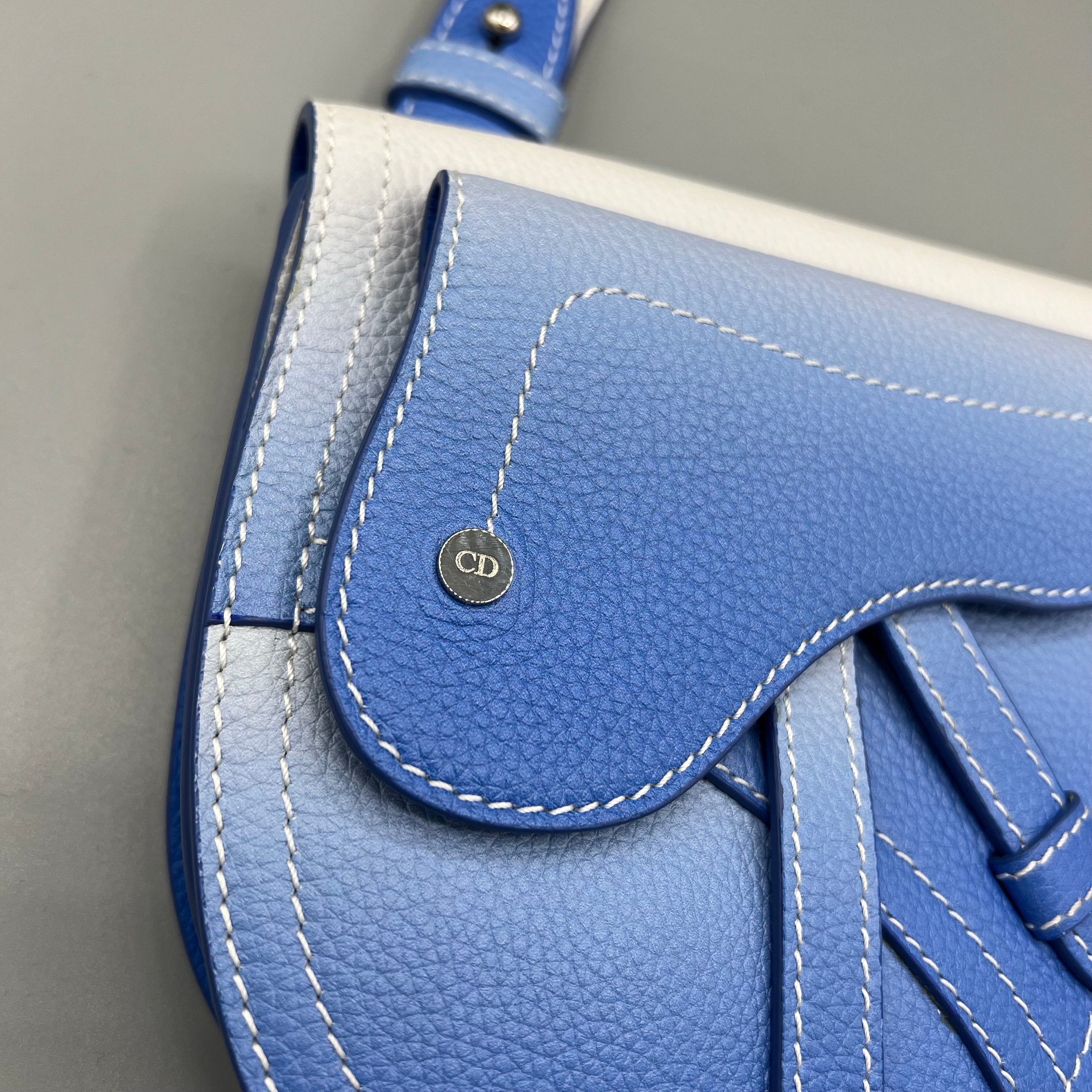 Saddle Dior