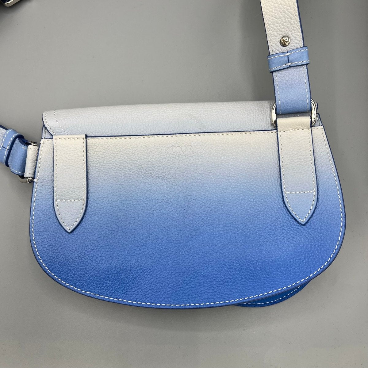 Saddle Dior - Le Beau Gustave
