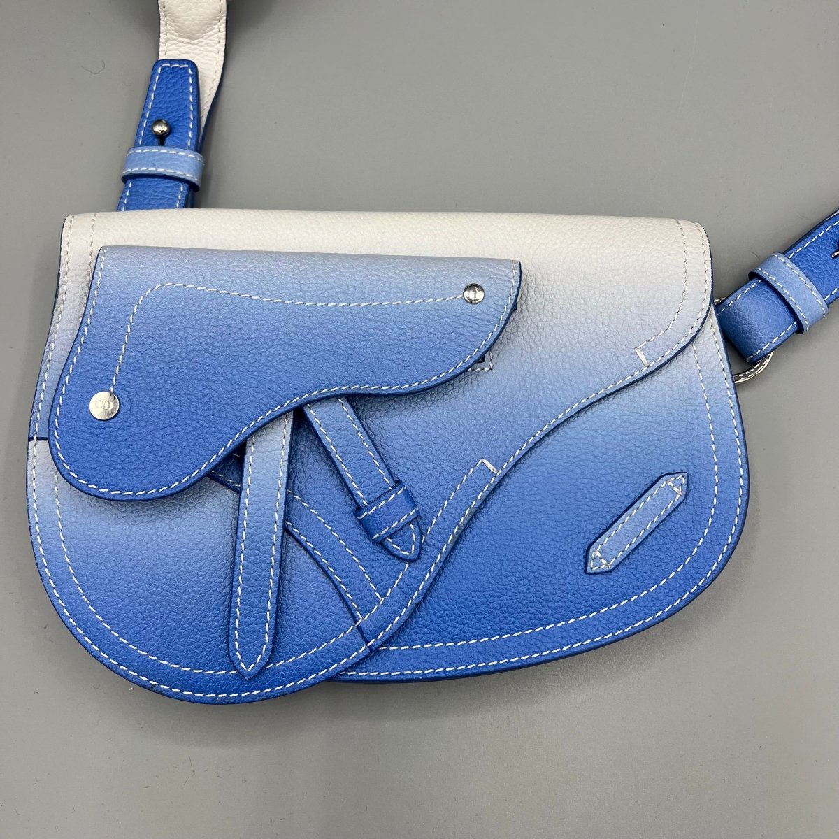 Saddle Dior - Le Beau Gustave