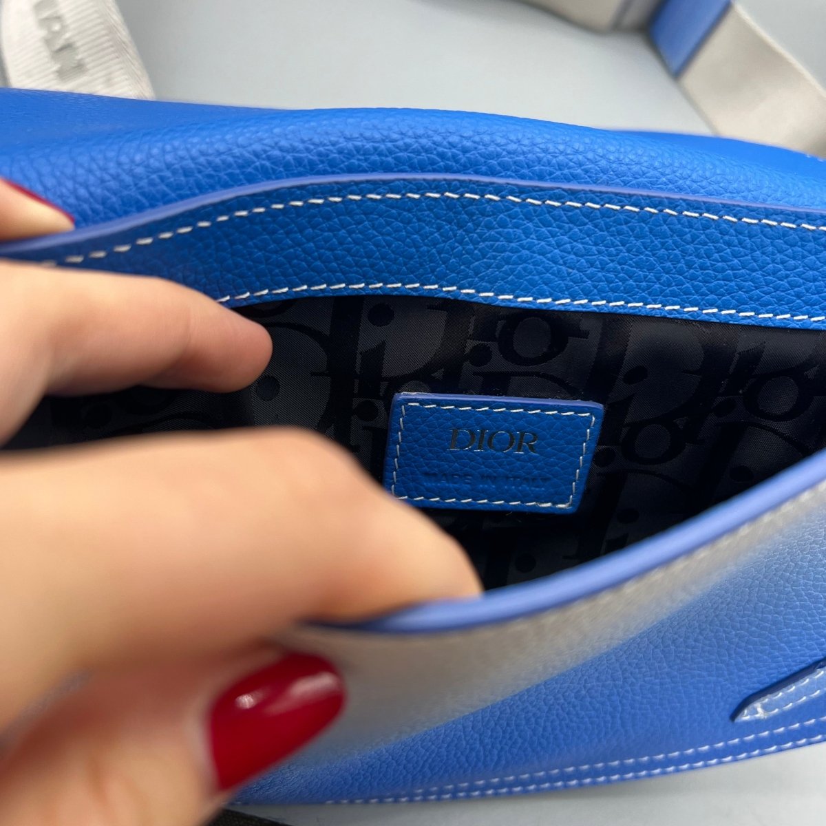 Saddle Dior - Le Beau Gustave