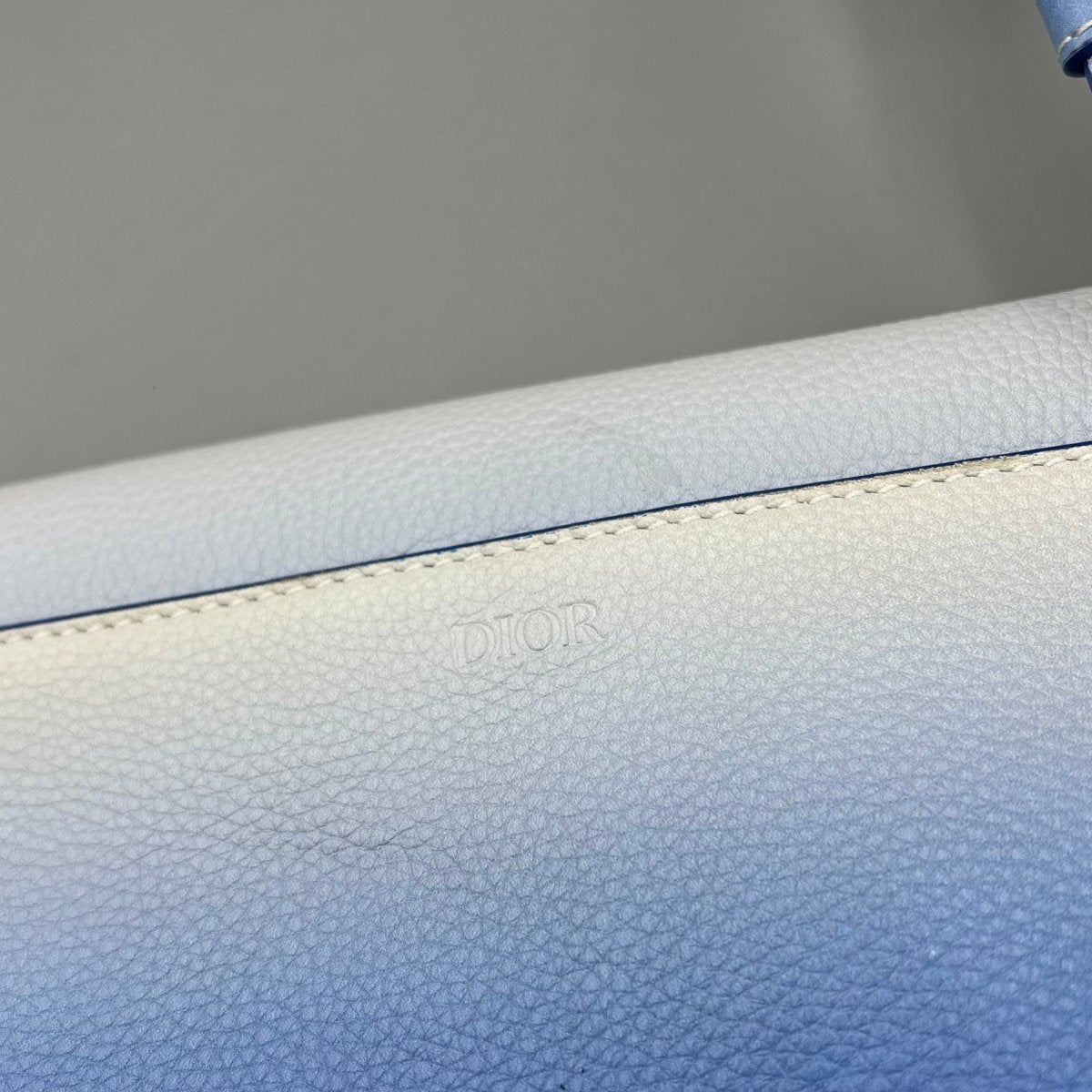 Saddle Dior - Le Beau Gustave