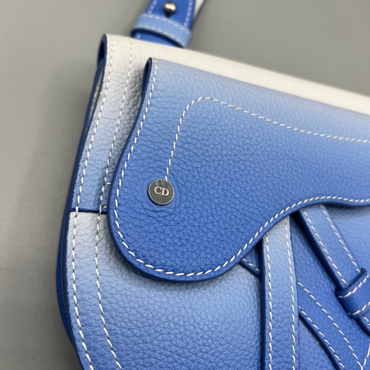 Saddle Dior - Le Beau Gustave
