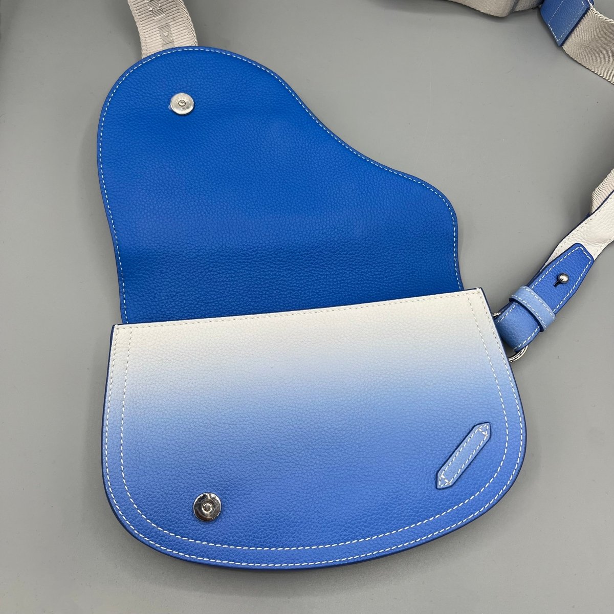 Saddle Dior - Le Beau Gustave