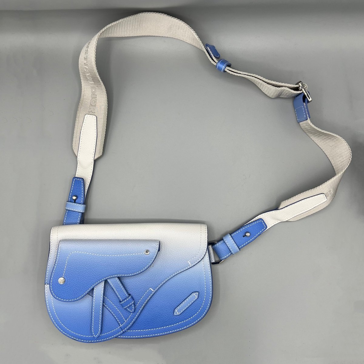 Saddle Dior - Le Beau Gustave