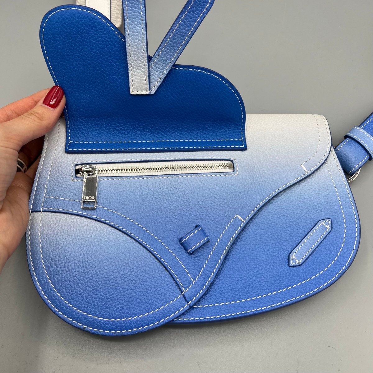Saddle Dior - Le Beau Gustave
